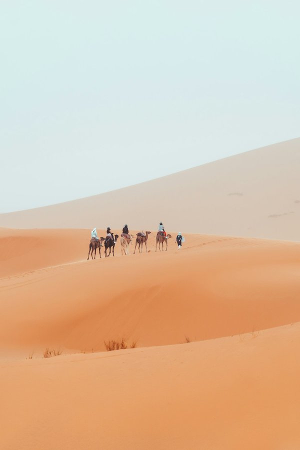Quels sont les meilleurs itinéraires pour un trek dans les montagnes de la Patagonie, Argentine ?